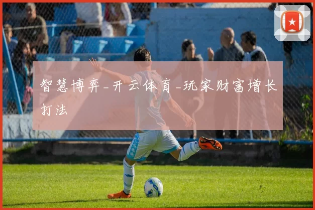 智慧博弈_开云体育_玩家财富增长打法