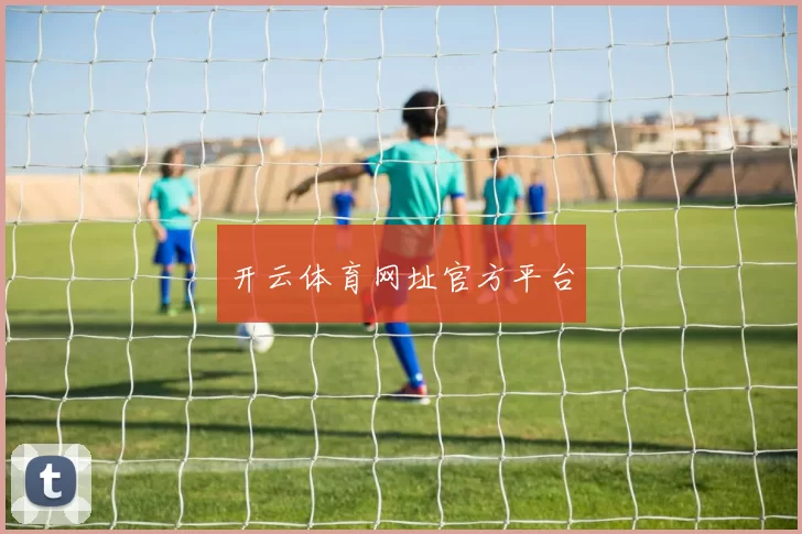 开云体育网址官方平台