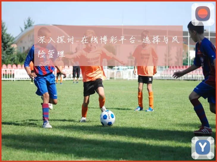 深入探讨_在线博彩平台_选择与风险管理