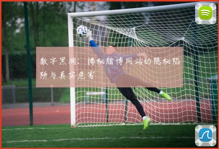 数字黑洞：揭秘赌博网站的隐秘陷阱与真实危害