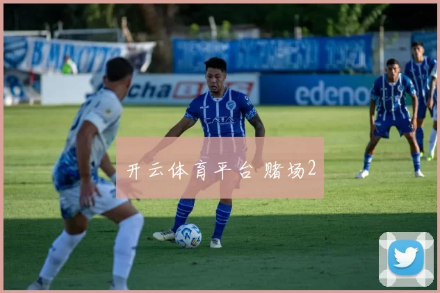 开云体育平台 赌场2