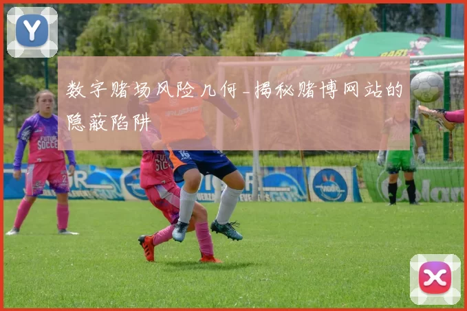 数字赌场风险几何_揭秘赌博网站的隐蔽陷阱