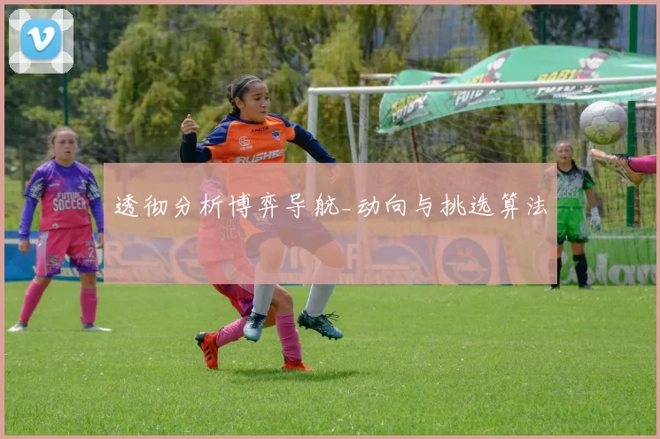 透彻分析博弈导航_动向与挑选算法