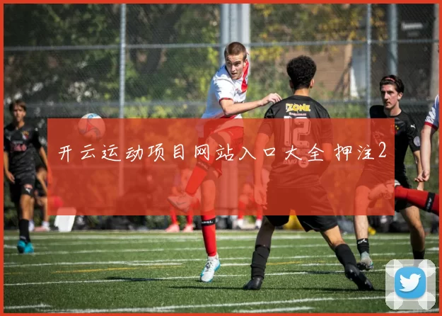 开云运动项目网站入口大全 押注2