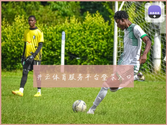 开云体育服务平台登录入口
