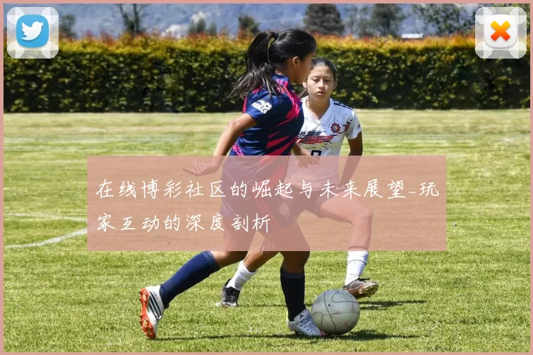 在线博彩社区的崛起与未来展望_玩家互动的深度剖析