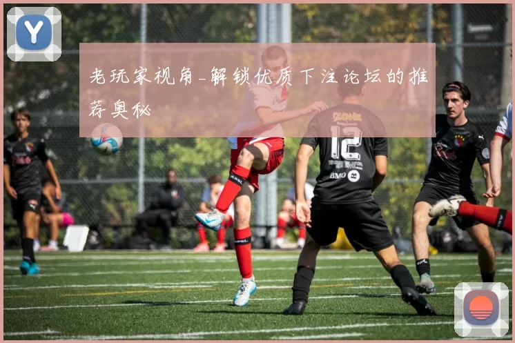 老玩家视角_解锁优质下注论坛的推荐奥秘