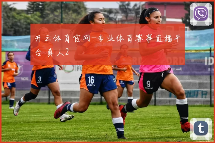 开云体育官网-专业体育赛事直播平台 真人2