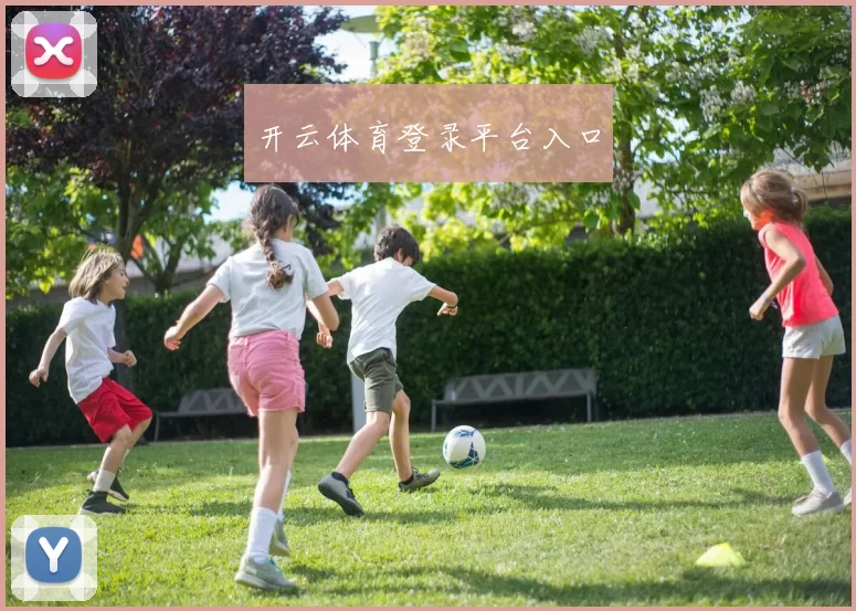 开云体育登录平台入口