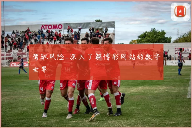 驾驭风险_深入了解博彩网站的数字世界