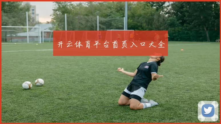 开云体育平台首页入口大全