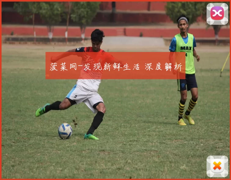 菠菜网-发现新鲜生活 深度解析