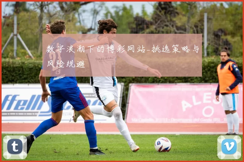 数字浪潮下的博彩网站_挑选策略与风险规避