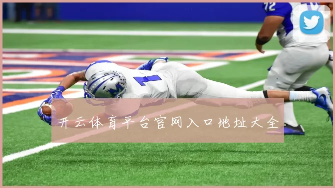 开云体育平台官网入口地址大全
