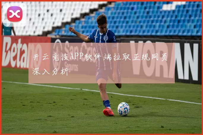 开云竞技APP软件端拉取正规网页 深入分析