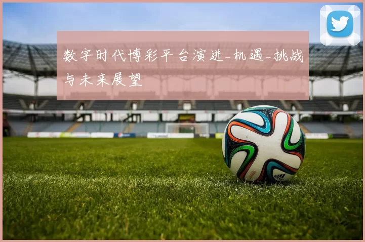 数字时代博彩平台演进_机遇_挑战与未来展望