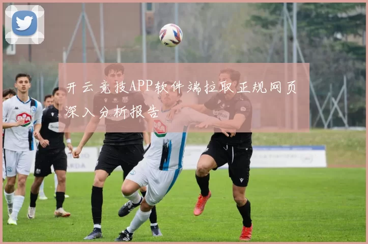 开云竞技APP软件端拉取正规网页 深入分析报告