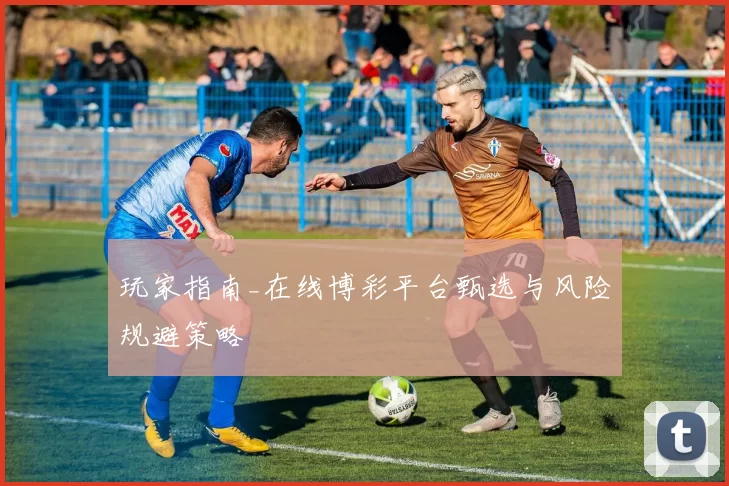 玩家指南_在线博彩平台甄选与风险规避策略