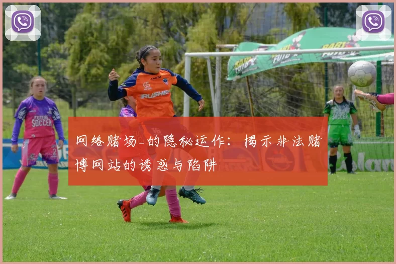 网络赌场_的隐秘运作：揭示非法赌博网站的诱惑与陷阱