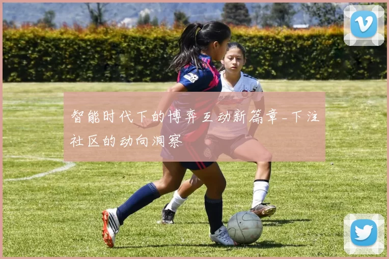 智能时代下的博弈互动新篇章_下注社区的动向洞察