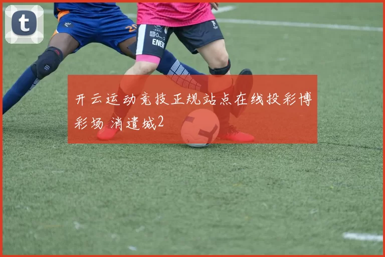 开云运动竞技正规站点在线投彩博彩场 消遣城2