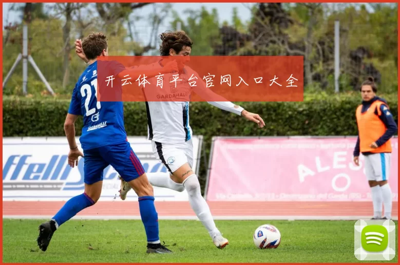 开云体育平台官网入口大全